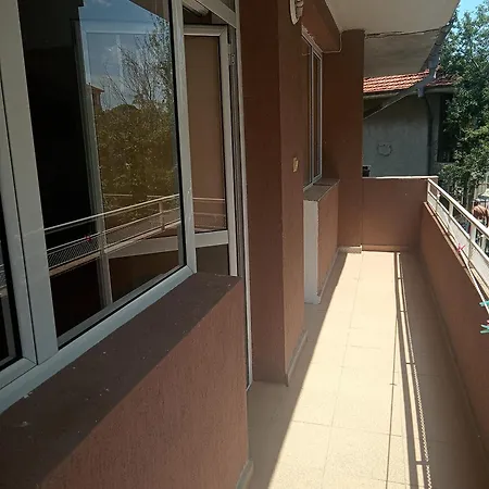 Despina-3