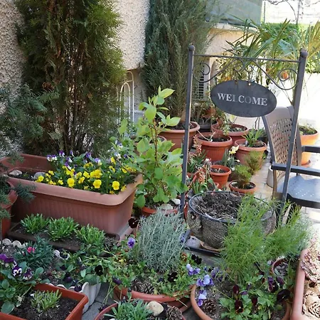 Guest House Lambovi - Lyubomir Lambov-3